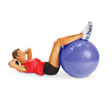 Fitness Stability Ball